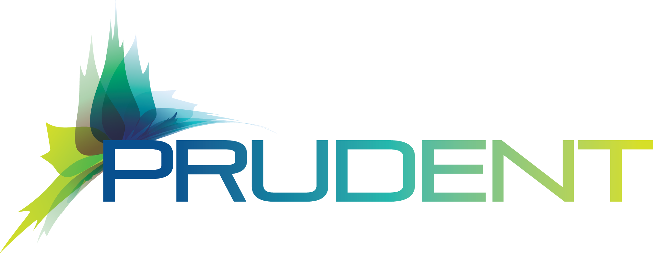 PRUDENT project